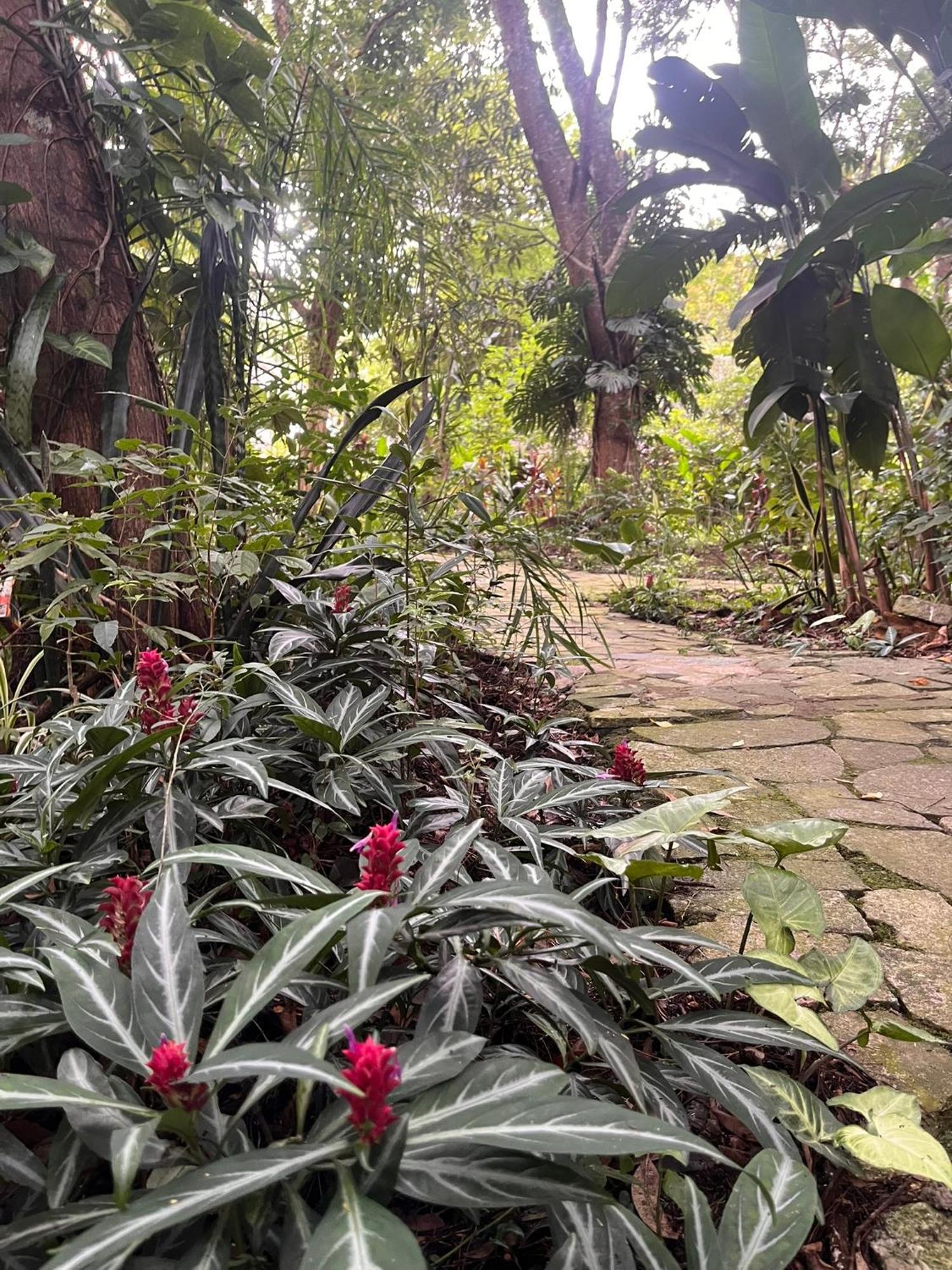 Hotel Curitiba Campo Comprido Dış mekan fotoğraf