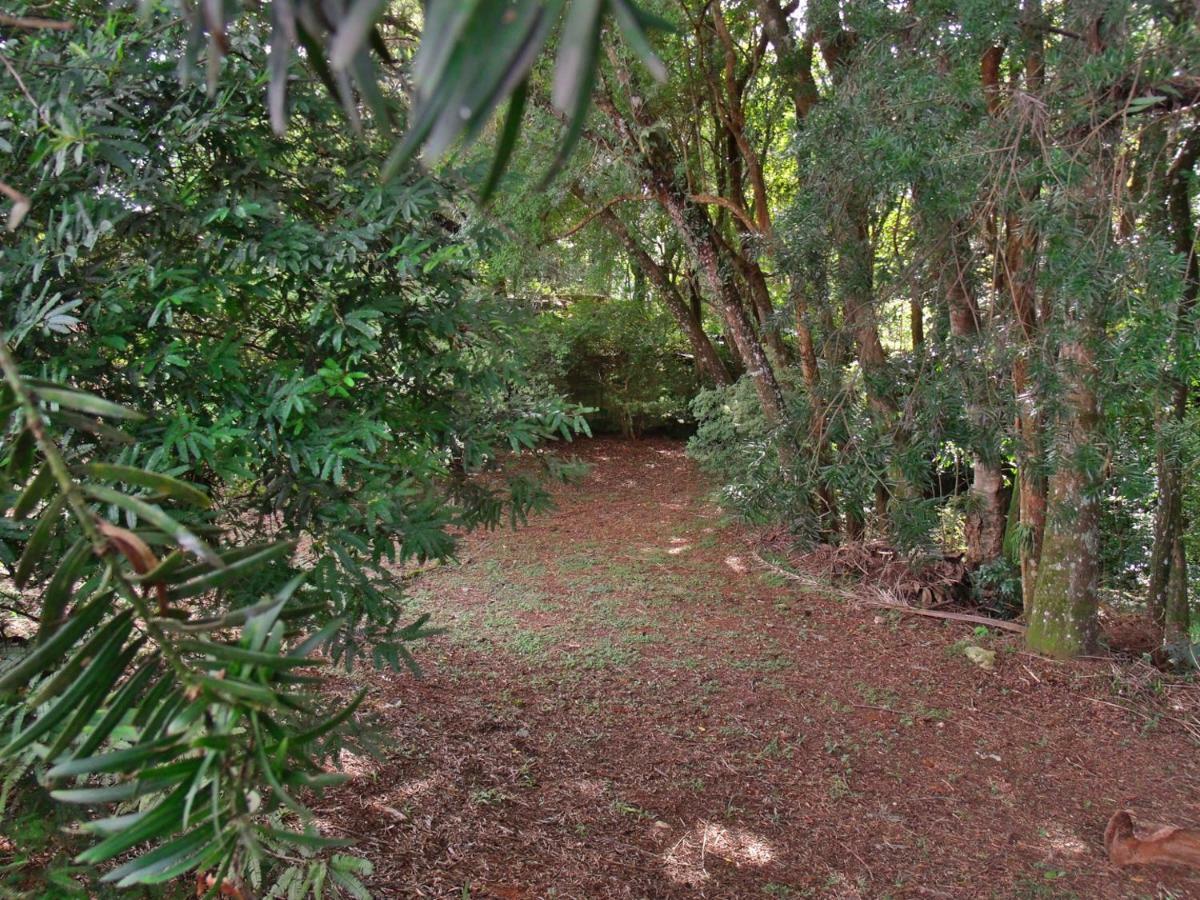 Hotel Curitiba Campo Comprido Dış mekan fotoğraf